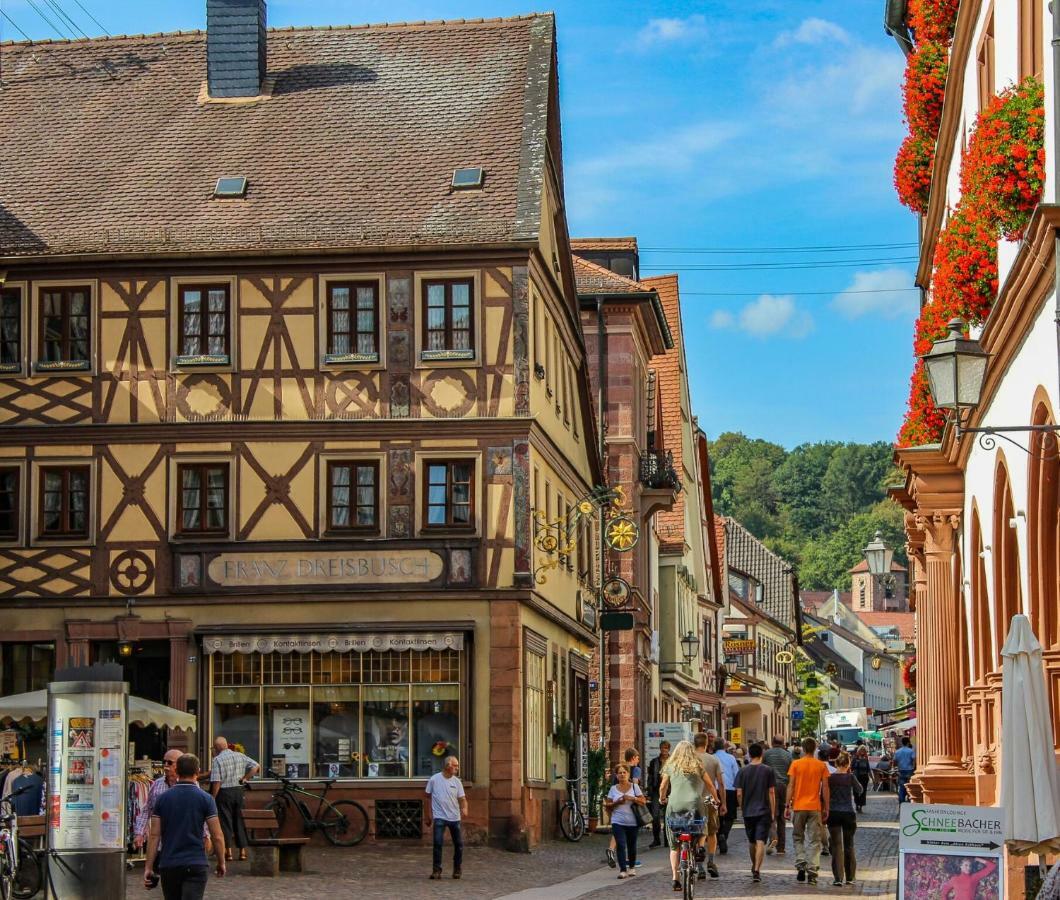 Boutique Hotel Bundschuh 3 Sterne Superior Lohr Екстериор снимка